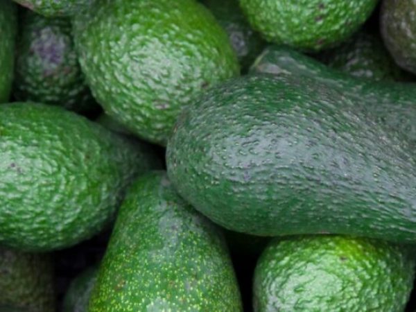 Avocados