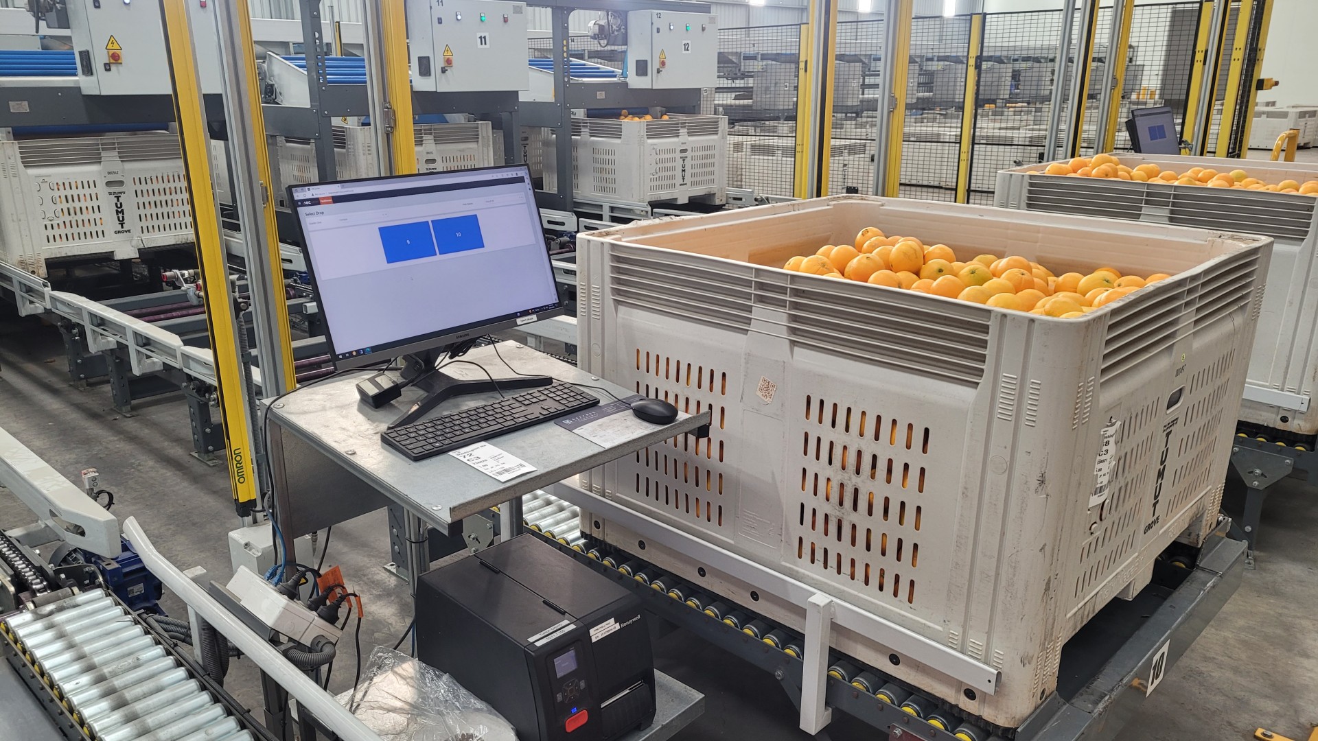 ABCpacker at Tumut Grove packhouse