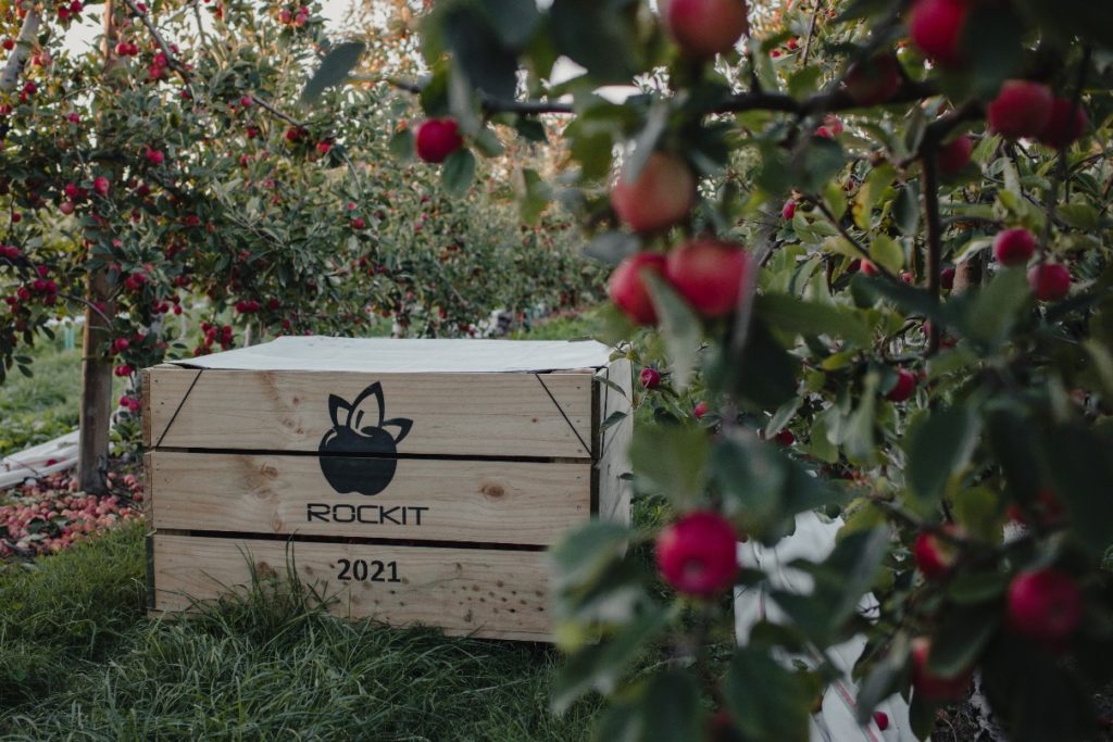 Rockit Apples